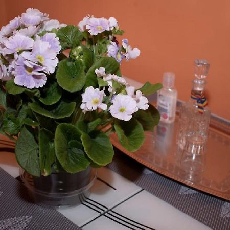 Central Apartment Maria 시비우 외부 사진